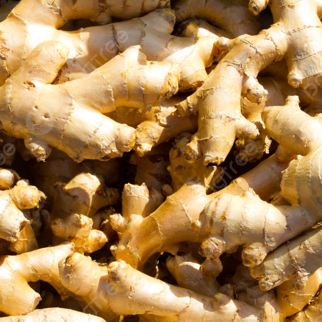 Ginger