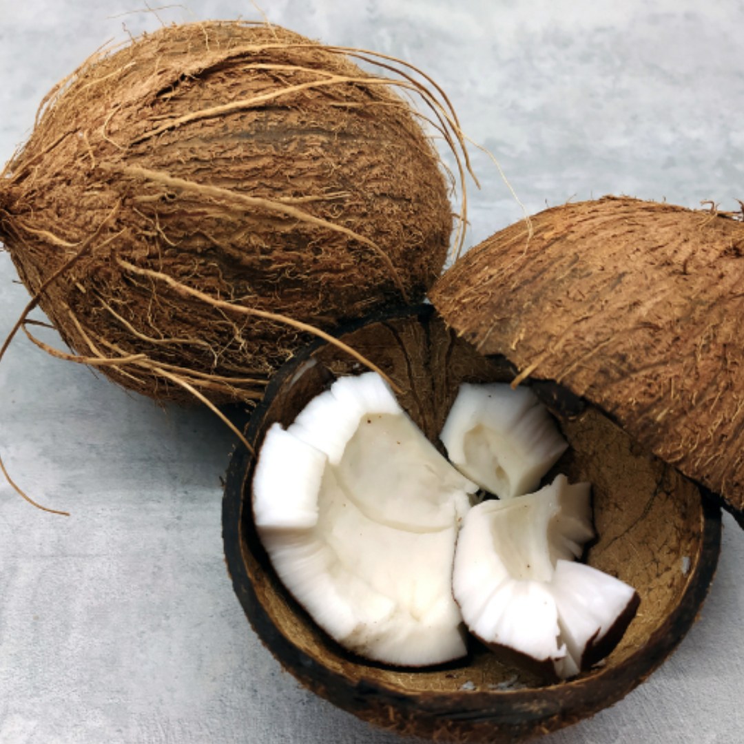 Cocopeat
