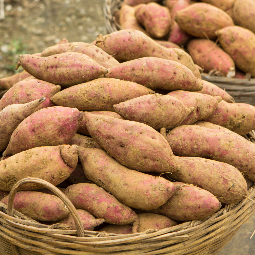 Yams