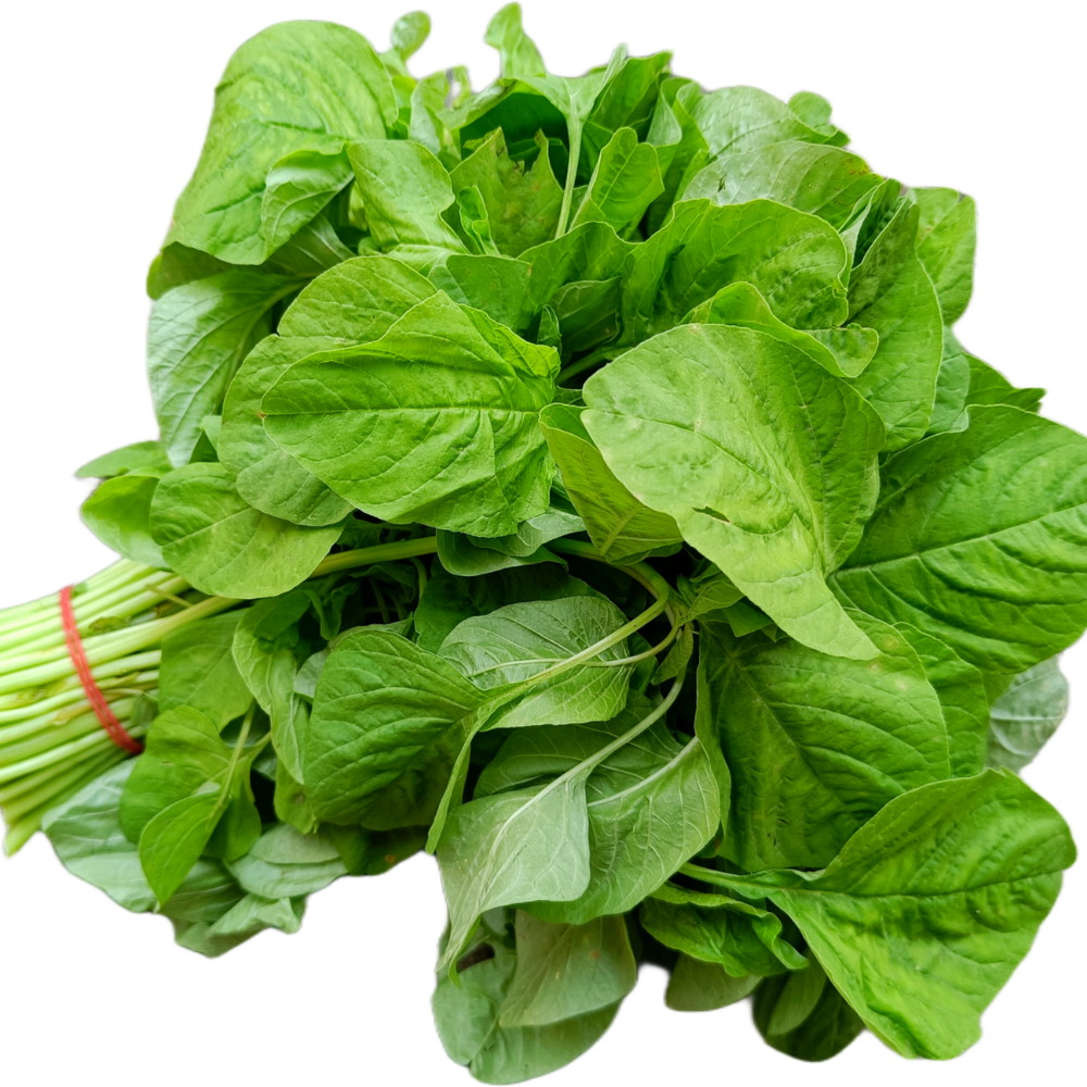 Spinach / Palak