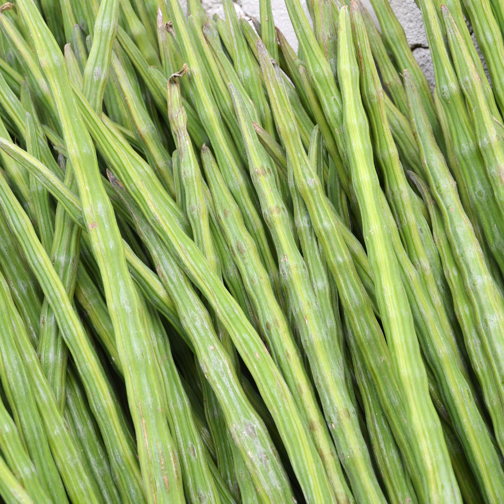 Drumstick (Murungakkai)