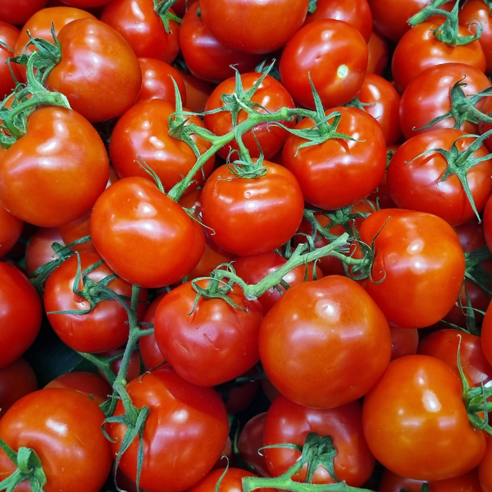 Tomato