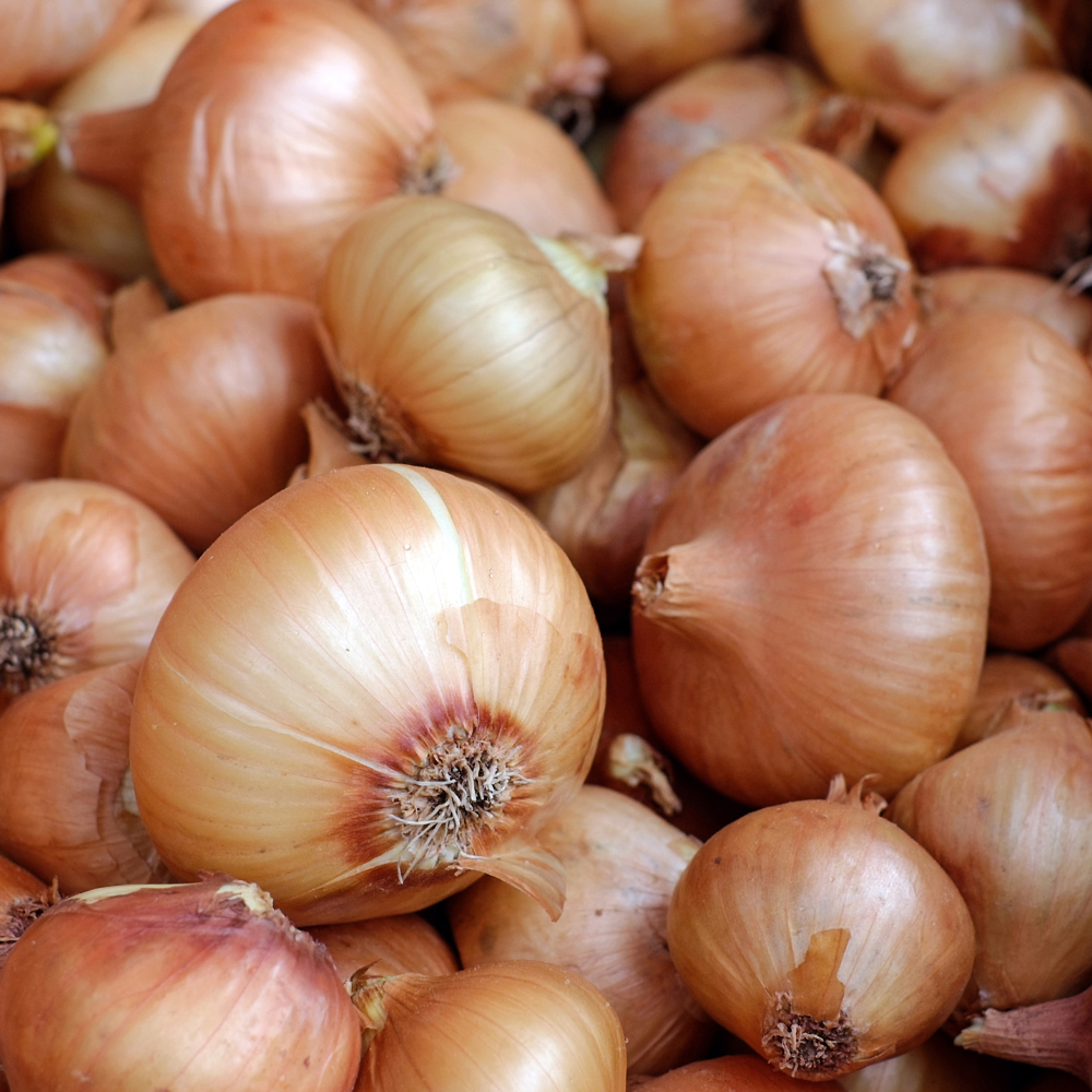 small Onion