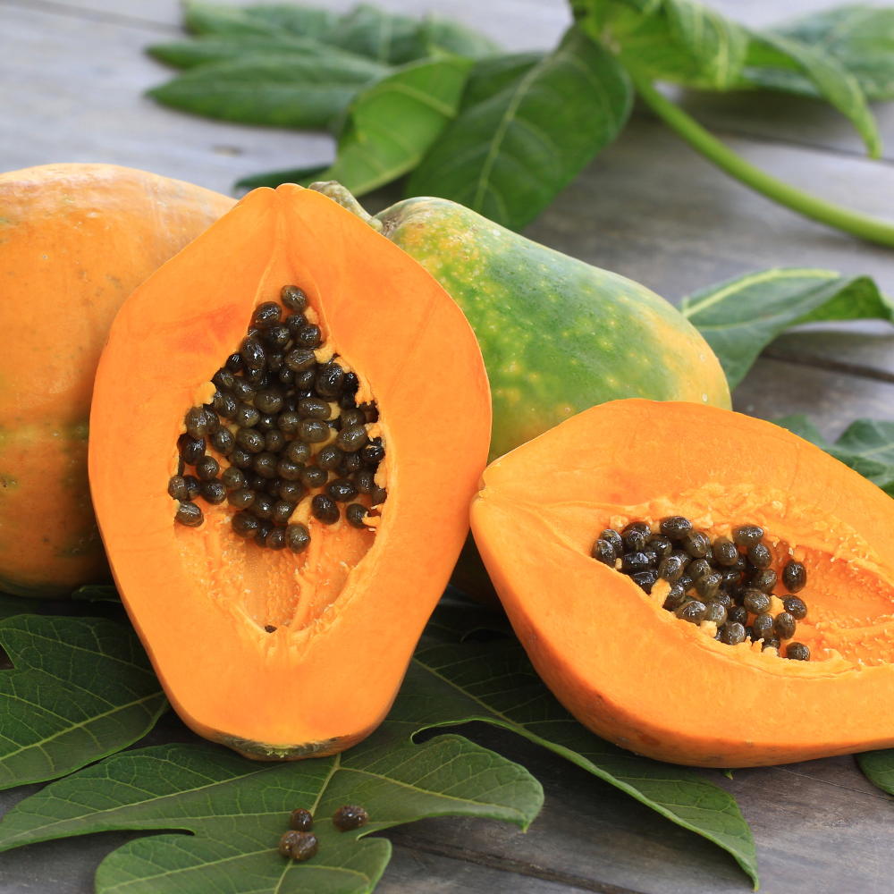 Papaya