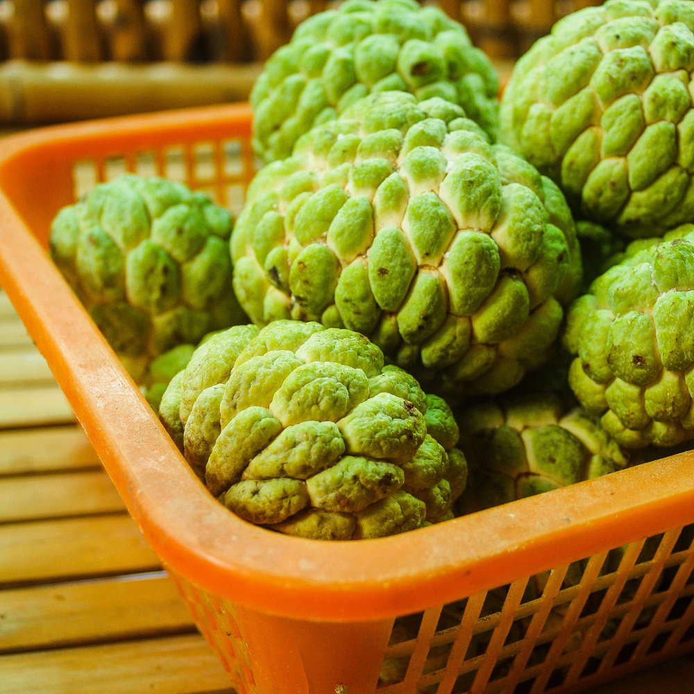 Custard Apple (Sitaphal)
